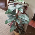 48" Artificial Silk Plant w/ Light Blonde Wicker Basket Pot 48" Artificial Silk Plant w/ Light Blonde Wicker Basket Pot